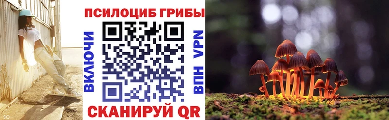 хочу   ОМГ ОМГ как зайти  площадка как зайти  Хотьково  Галлюциногенные грибы мухоморы 